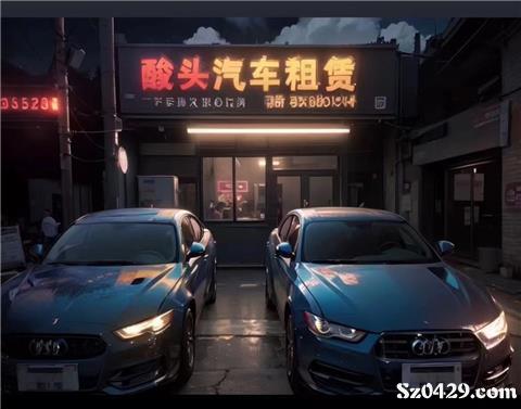 綏中酸頭汽車租賃 便捷出行，專業服務